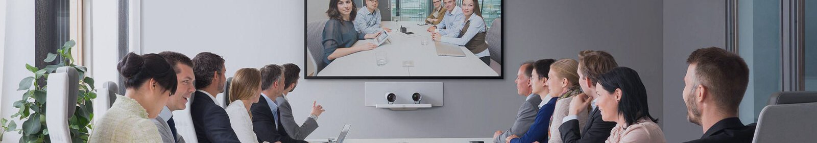 Crestron DM NVX Series